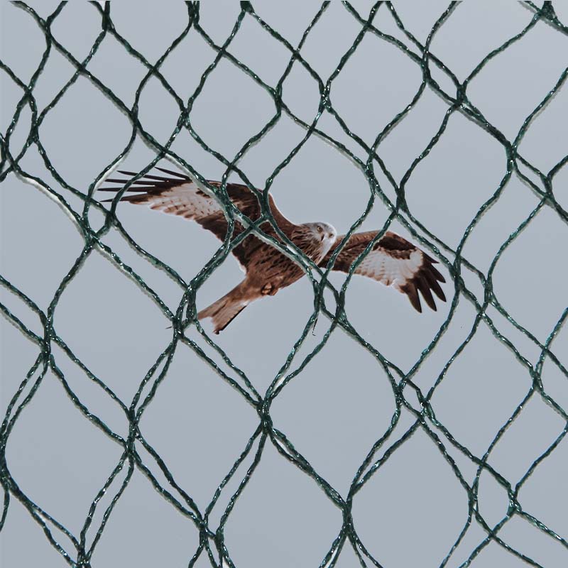 Millised on linnukaitsevõrkude materjalivalikud ning eelised ja puudused?