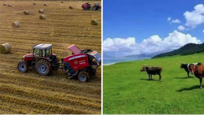 Pallivõrku mähkimise kasutamine põllumajandustegevuses