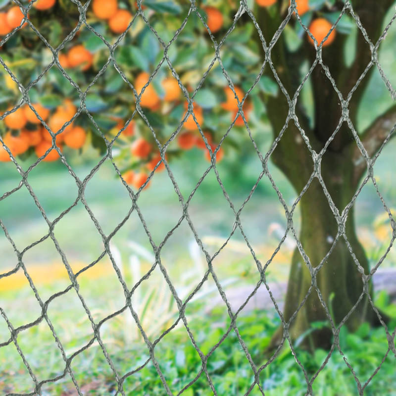 Linnuvõrkude loomatõkked