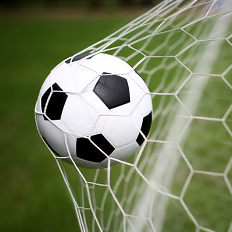 Jalgpalliväljaku võrk